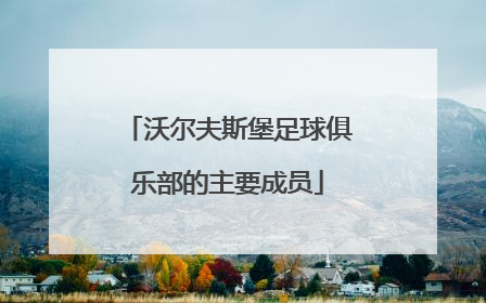 沃尔夫斯堡足球俱乐部的主要成员