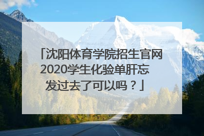 沈阳体育学院招生官网2020学生化验单肝忘发过去了可以吗？