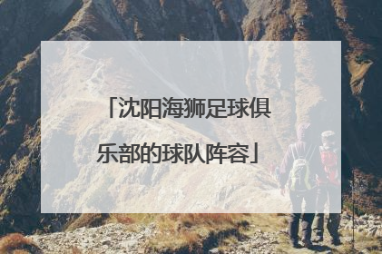 沈阳海狮足球俱乐部的球队阵容