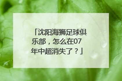 沈阳海狮足球俱乐部，怎么在07年中超消失了？