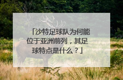 沙特足球队为何能位于亚洲前列，其足球特点是什么？