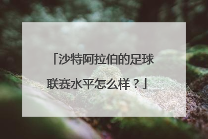 沙特阿拉伯的足球联赛水平怎么样？