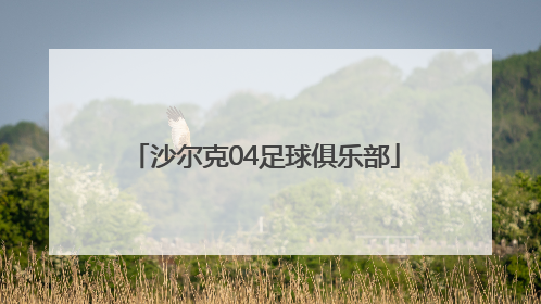 「沙尔克04足球俱乐部」沙尔克04足球俱乐部是哪个国家的