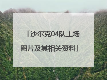 沙尔克04队主场图片及其相关资料