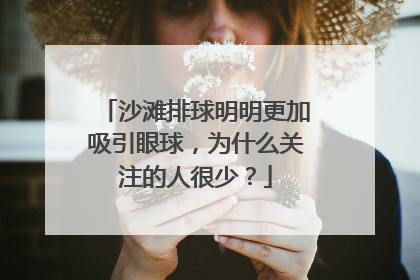 沙滩排球明明更加吸引眼球，为什么关注的人很少？