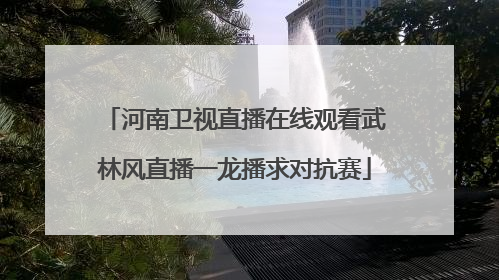 河南卫视直播在线观看武林风直播一龙播求对抗赛