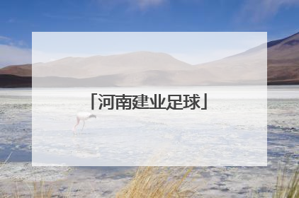 「河南建业足球」河南建业足球场