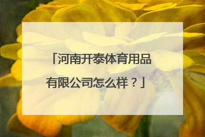 河南开泰体育用品有限公司怎么样？