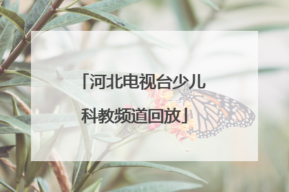 「河北电视台少儿科教频道回放」河北电视台少儿科教频道回放禁毒