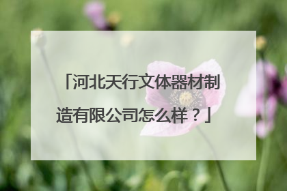 河北天行文体器材制造有限公司怎么样？