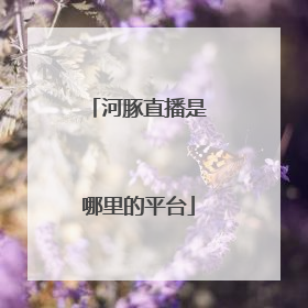 河豚直播是哪里的平台