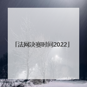 法网决赛时间2022