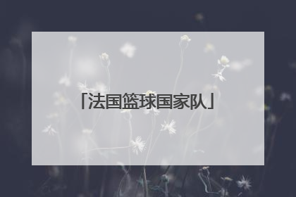 「法国篮球国家队」法国篮球国家队队员