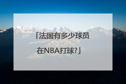 法国有多少球员在NBA打球?