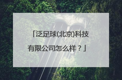 泛足球(北京)科技有限公司怎么样？