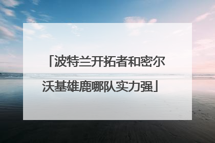 波特兰开拓者和密尔沃基雄鹿哪队实力强