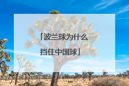 波兰球为什么挡住中国球