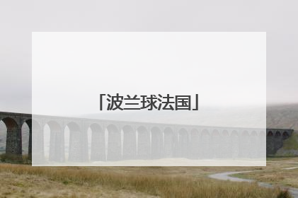 「波兰球法国」波兰球法国表情包