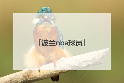 「波兰nba球员」波兰NBA球员