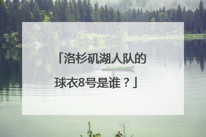 洛杉矶湖人队的球衣8号是谁？