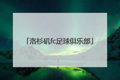 「洛杉矶fc足球俱乐部」洛杉矶fc足球俱乐部著名球员