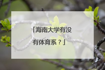 海南大学有没有体育系？