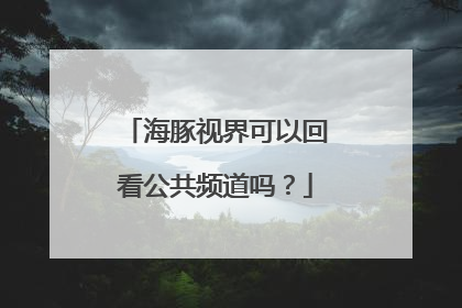 海豚视界可以回看公共频道吗？