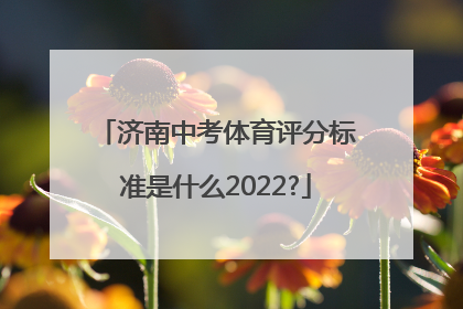 济南中考体育评分标准是什么2022?