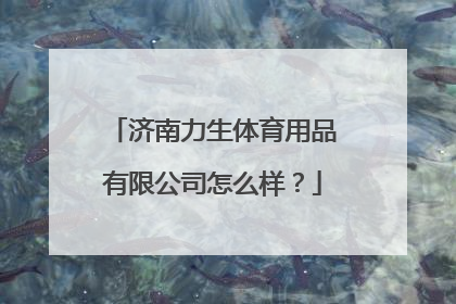 济南力生体育用品有限公司怎么样？