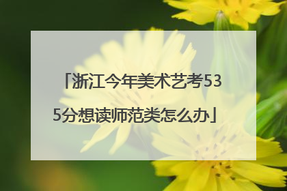 浙江今年美术艺考535分想读师范类怎么办