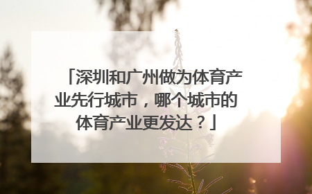 深圳和广州做为体育产业先行城市，哪个城市的体育产业更发达？