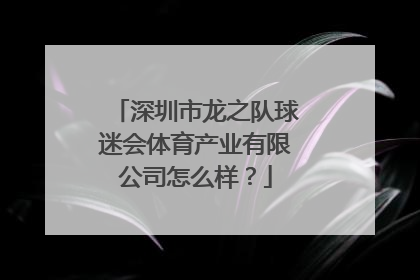 深圳市龙之队球迷会体育产业有限公司怎么样？