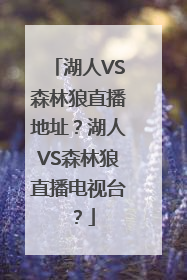 湖人VS森林狼直播地址？湖人VS森林狼直播电视台？