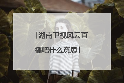 湖南卫视风云直播吧什么意思