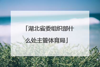 湖北省委组织部什么处主管体育局