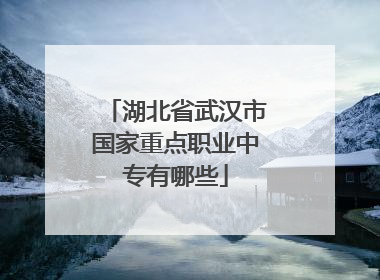 湖北省武汉市国家重点职业中专有哪些