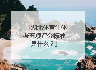 湖北体育生体考五项评分标准是什么？