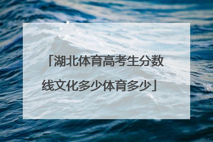 湖北体育高考生分数线文化多少体育多少