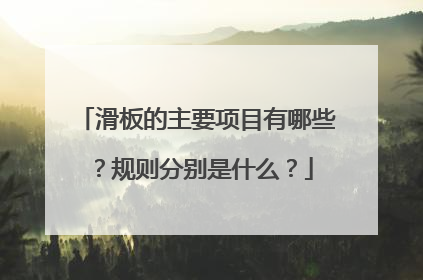 滑板的主要项目有哪些？规则分别是什么？