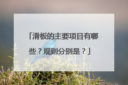 滑板的主要项目有哪些？规则分别是？