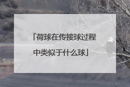 荷球在传接球过程中类似于什么球