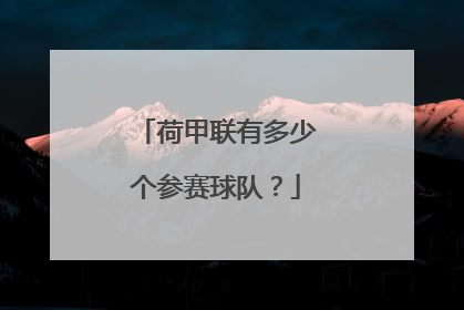 荷甲联有多少个参赛球队？