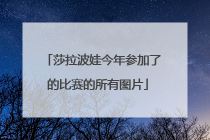 莎拉波娃今年参加了的比赛的所有图片