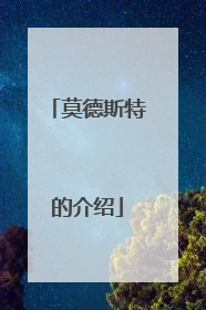 莫德斯特的介绍