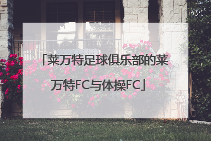 莱万特足球俱乐部的莱万特FC与体操FC