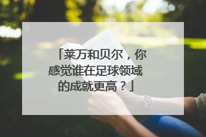 莱万和贝尔，你感觉谁在足球领域的成就更高？