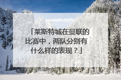 莱斯特城在曼联的比赛中，两队分别有什么样的表现？