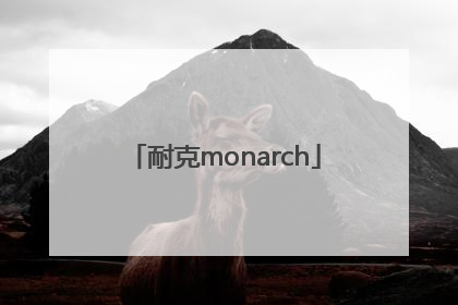 「耐克monarch」耐克monarch走路吱吱响