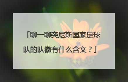 聊一聊突尼斯国家足球队的队徽有什么含义？