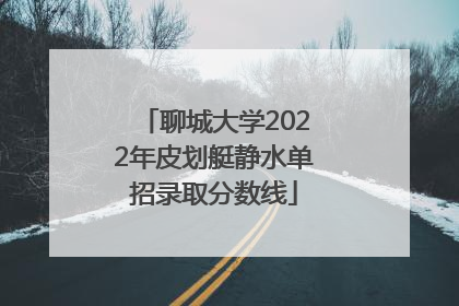 聊城大学2022年皮划艇静水单招录取分数线